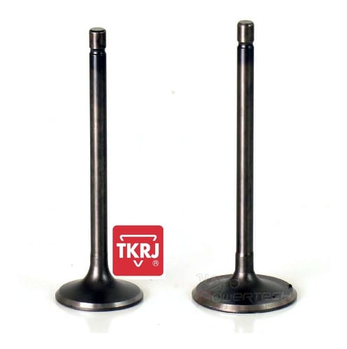 KIT 2 VALVULAS DE ADMISION TKRJ SUZUKI DR 350